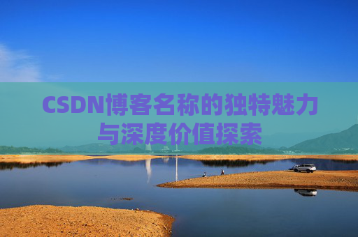 CSDN博客名称的独特魅力与深度价值探索